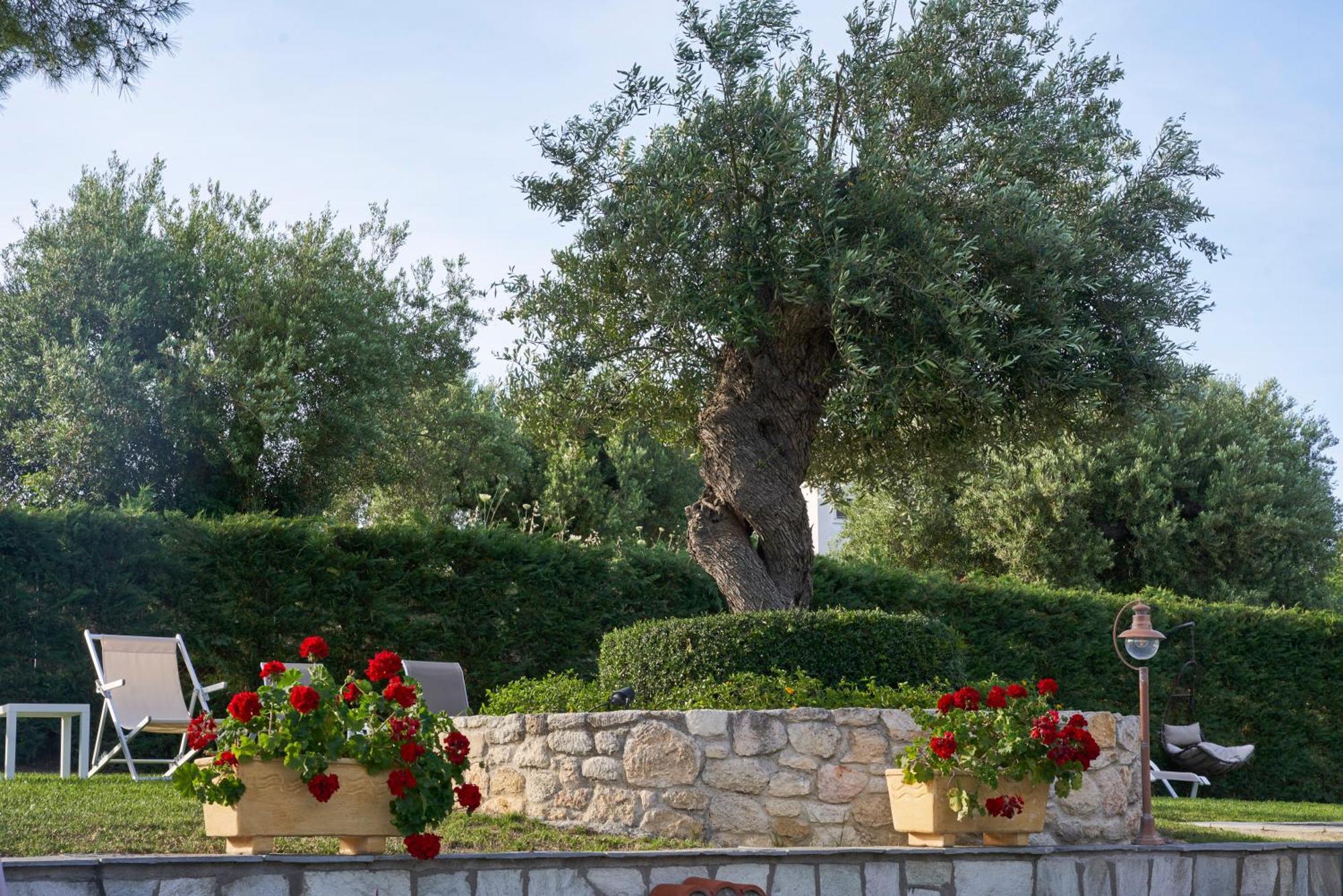 Mirabilia Boutique Hotel Kriopigi Dış mekan fotoğraf